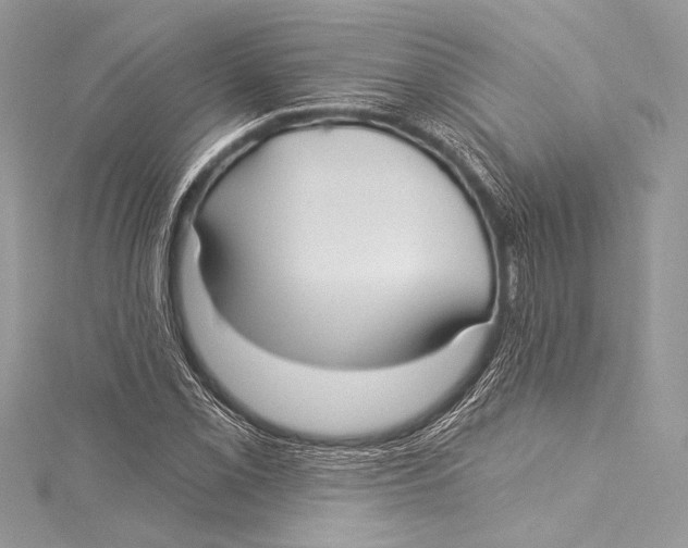 X0000115291069200911301329