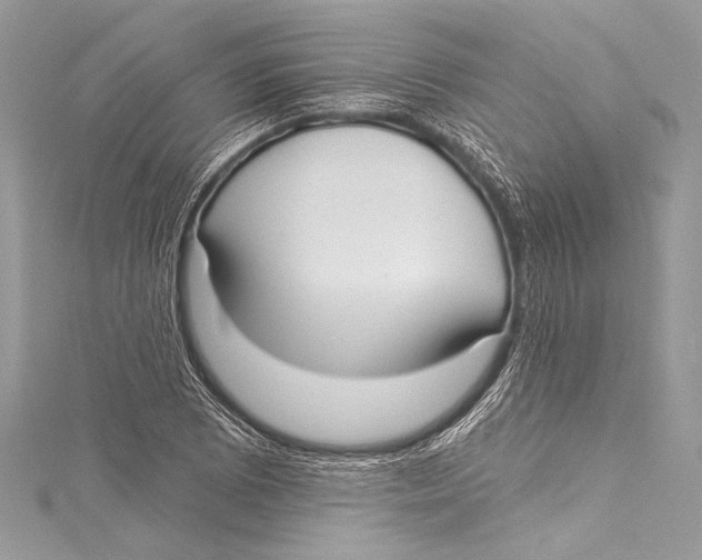X0000115291073200911301329