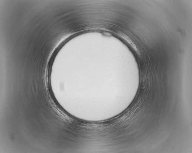X0000115291076200911301329
