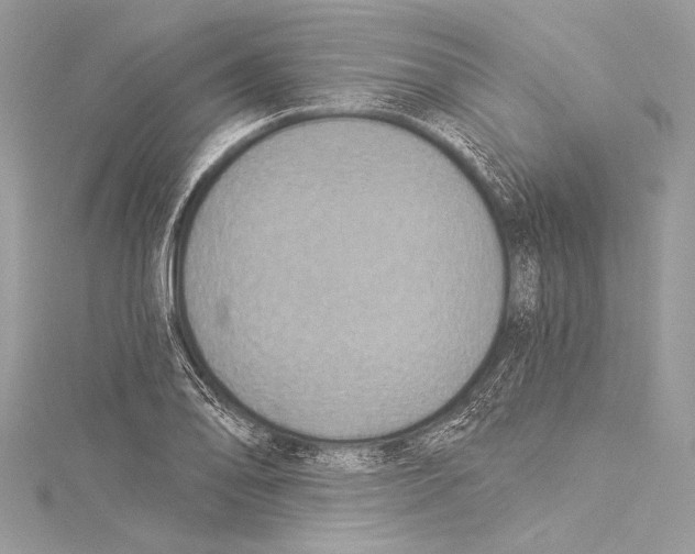 X0000115291078200911301329