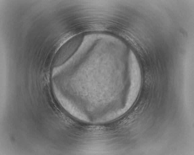 X0000115291081200911301329