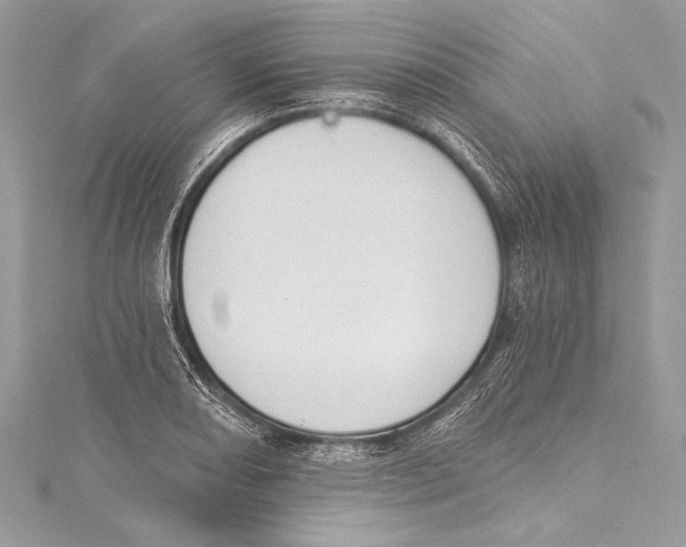 X0000115291082200911301329