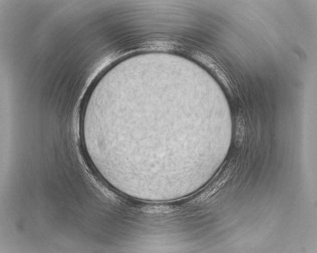 X0000115291083200911301329