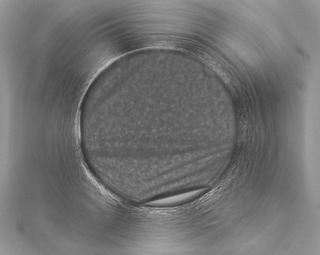 X0000115291084200911301329