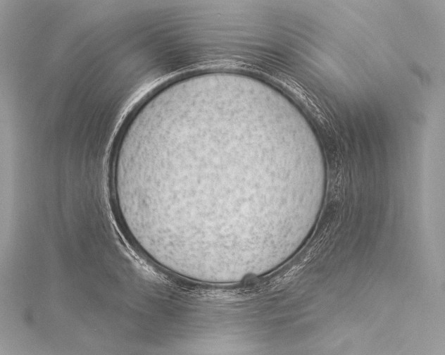 X0000115291086200911301329