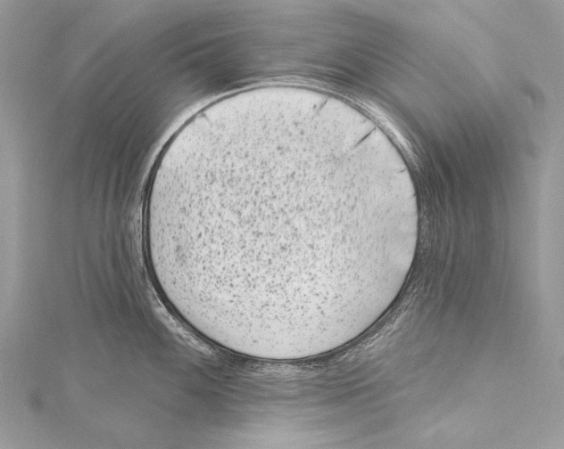 X0000115291100200911301328