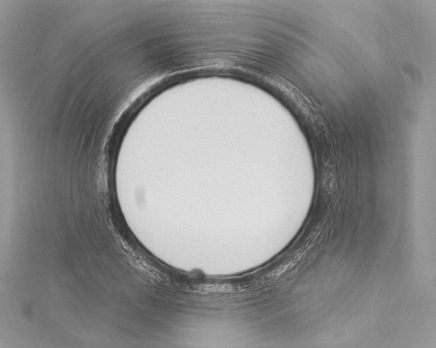X0000115291118200911301328