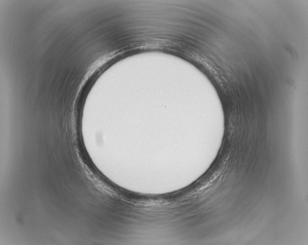 X0000115291122200911301328