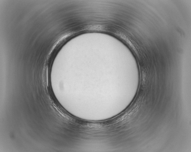 X0000115291123200911301328