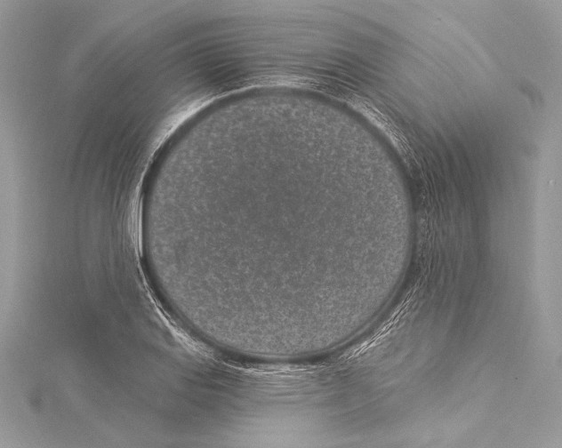 X0000115291127200911301328
