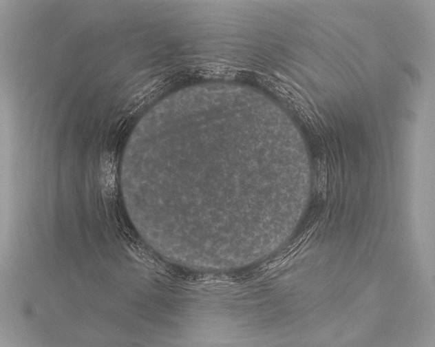 X0000115291154200911301328