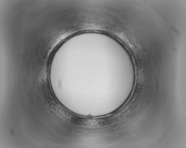X0000115291167200911301328