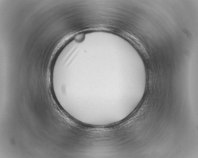 X0000115291188200911301327