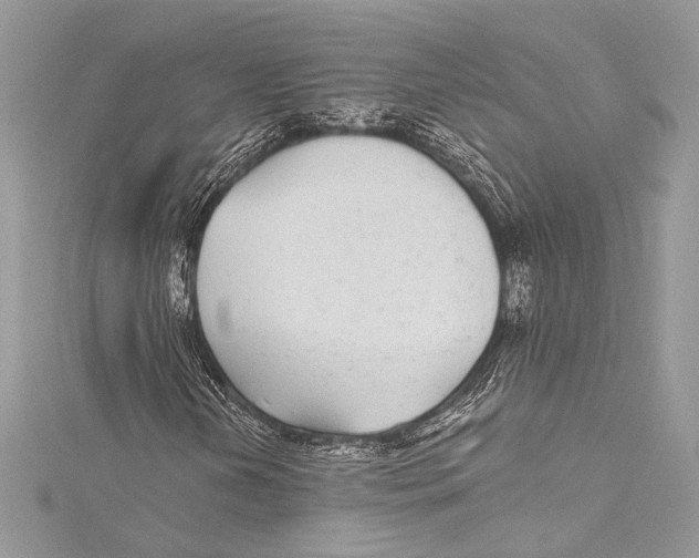 X0000115291202200911301326