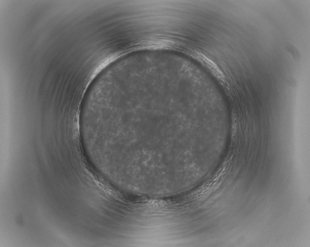 X0000115291226200911301327