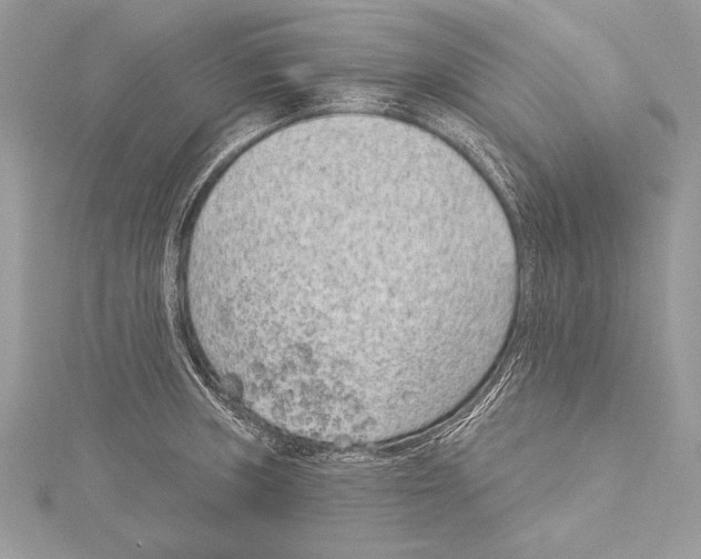 X0000115291235200911301327