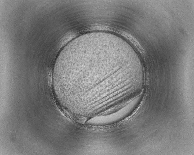X0000115291241200911301327