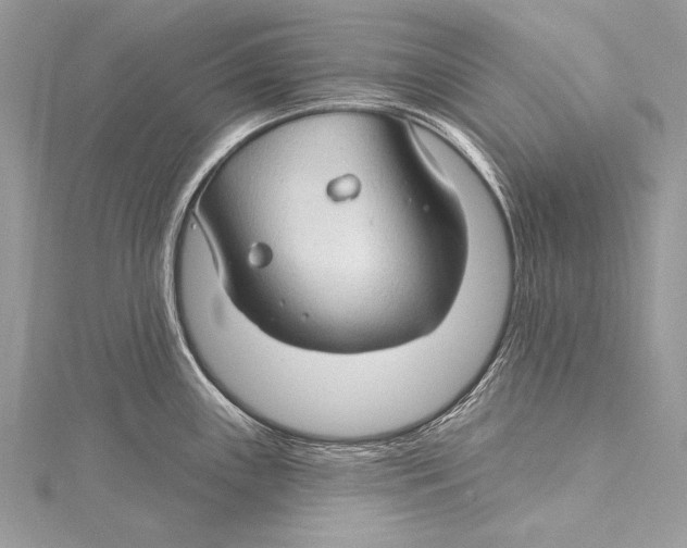X0000115291243200911301327