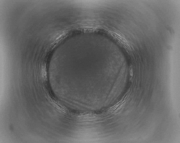 X0000115291252200911301326