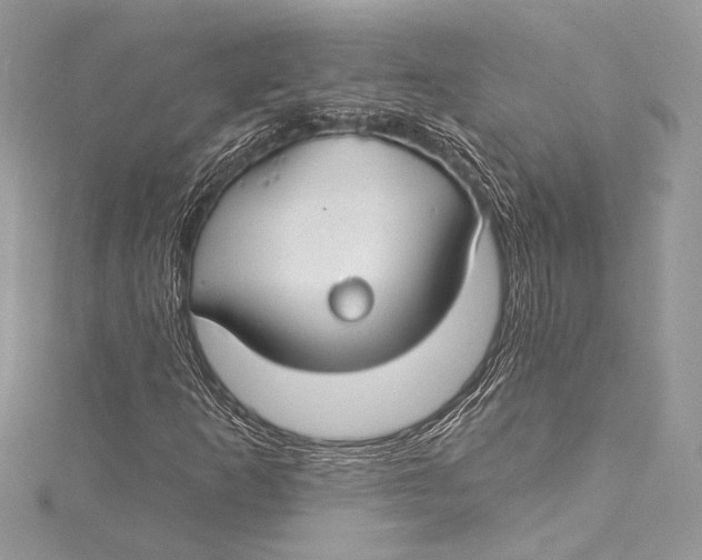 X0000115291253200911301326