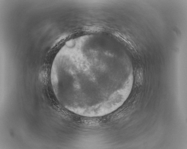 X0000115291254200911301326