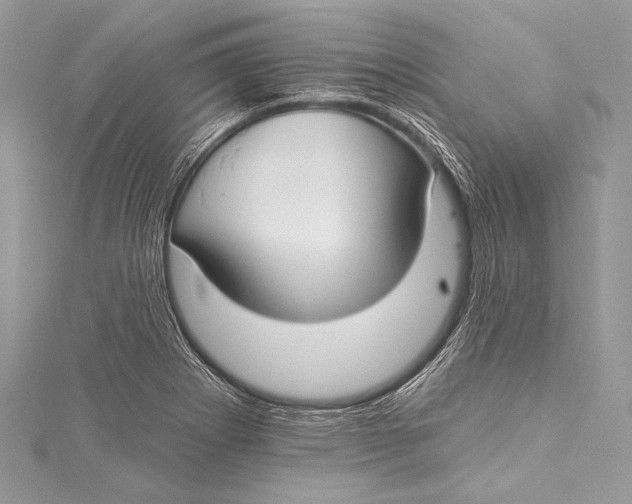 X0000115291273200911301326
