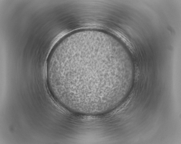 X0000115291275200911301326