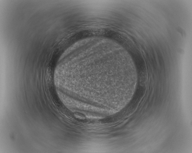 X0000115291298200911301325