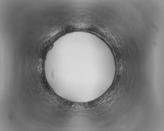 X0000115291301200911301325