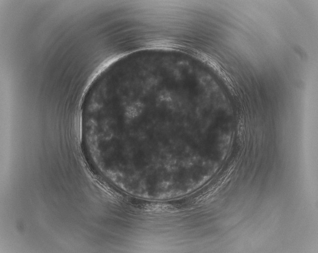 X0000115291323200911301326