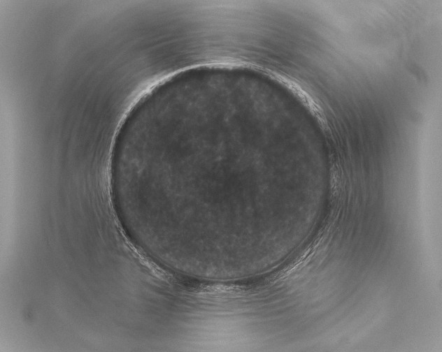 X0000115291327200911301326