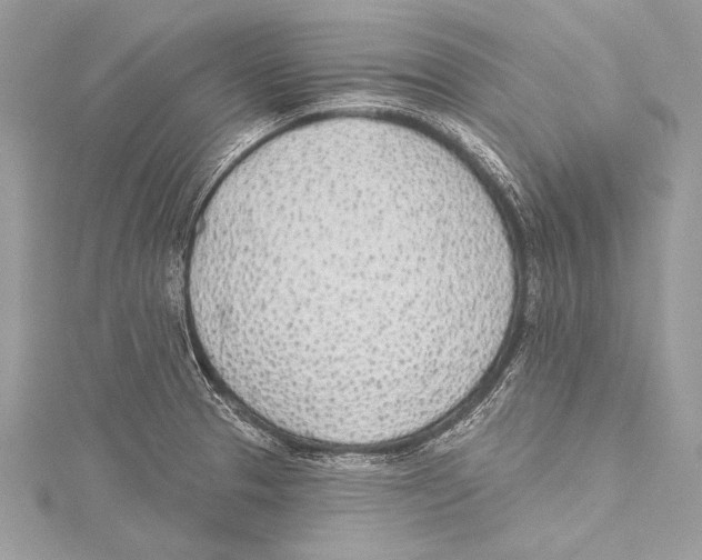 X0000115291329200911301326