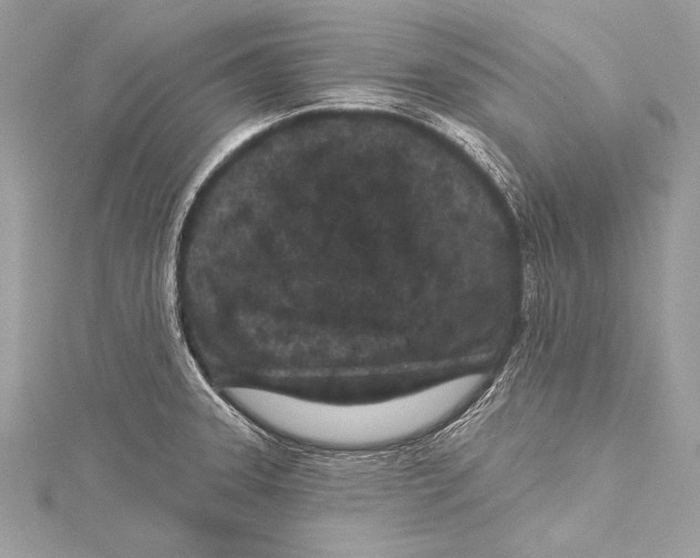 X0000115291331200911301326