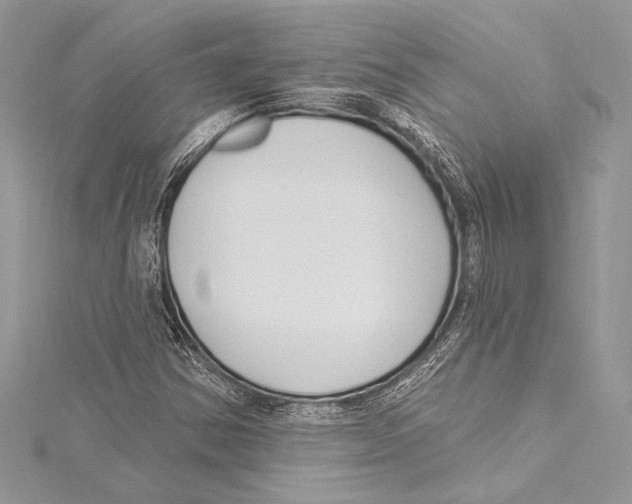 X0000115291354200911301325