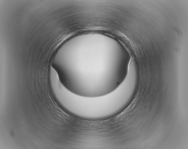 X0000115291361200911301325