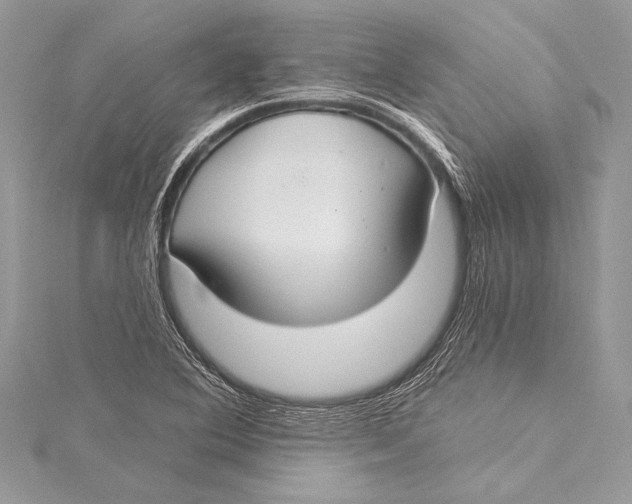 X0000115291364200911301325