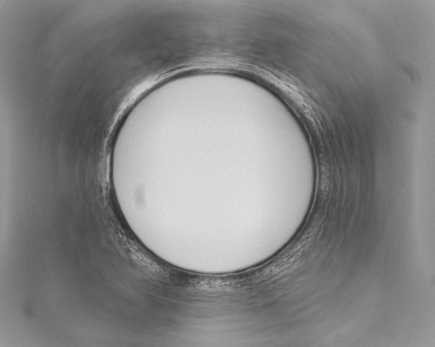 X0000115291366200911301325