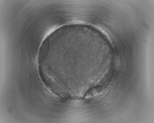X0000115291373200911301325