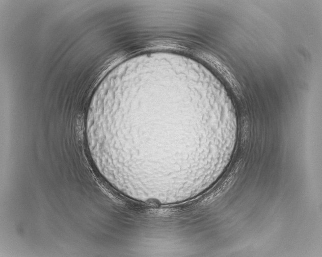 X0000115291377200911301325
