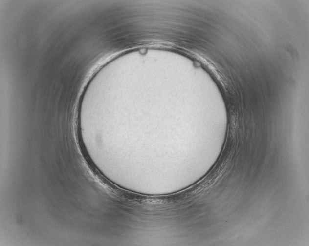 X0000115291379200911301325