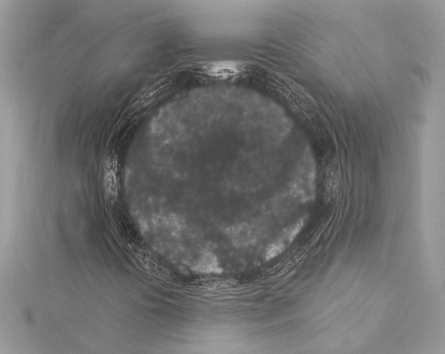 X0000115291394200911301324