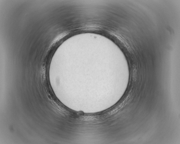 X0000115291402200911301324