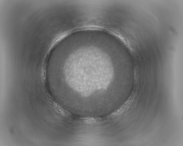 X0000115291405200911301324