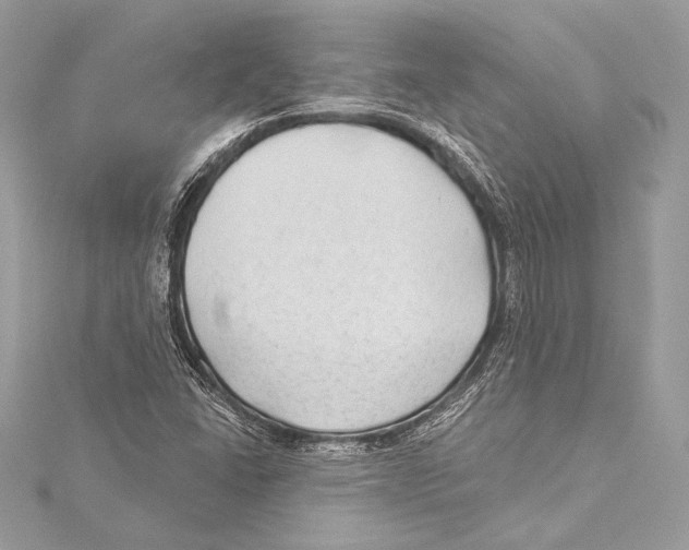 X0000115291406200911301324
