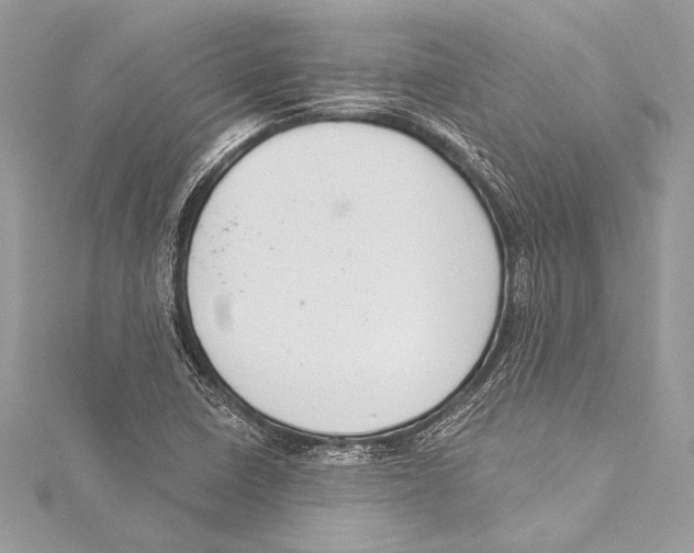 X0000115291410200911301324