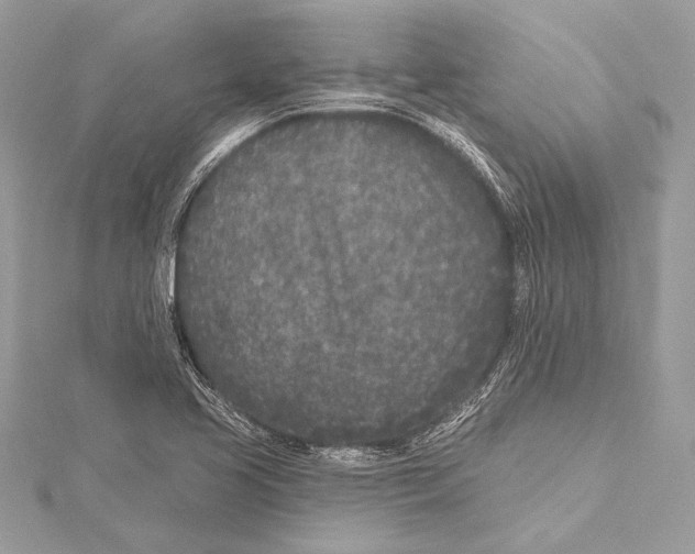 X0000115291413200911301324