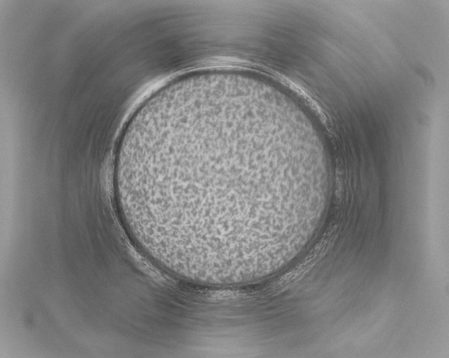 X0000115291421200911301324
