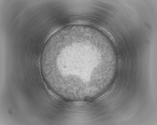X0000115291425200911301324