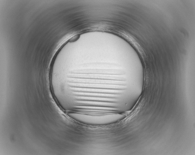 X0000115291434200911301324