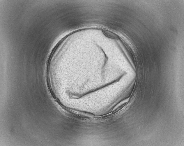 X0000115291438200911301324